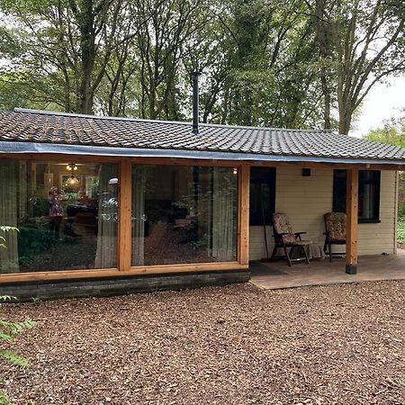 Huisje In Het Bos Zuidlaren Ngoại thất bức ảnh