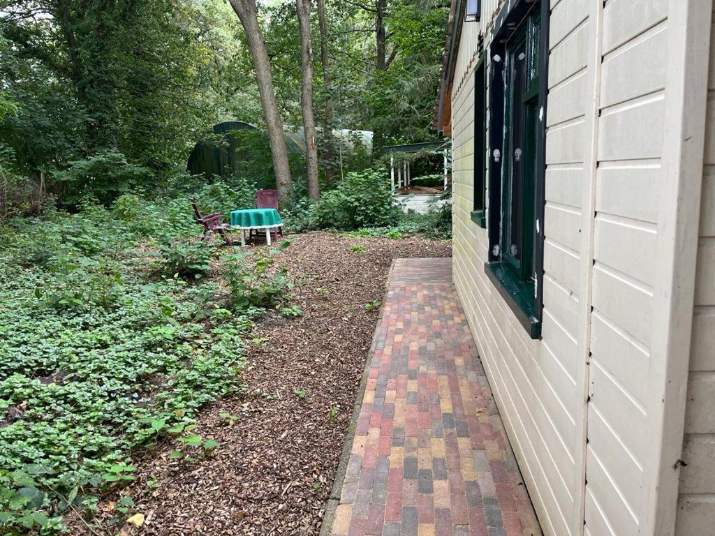 Huisje In Het Bos Zuidlaren Ngoại thất bức ảnh
