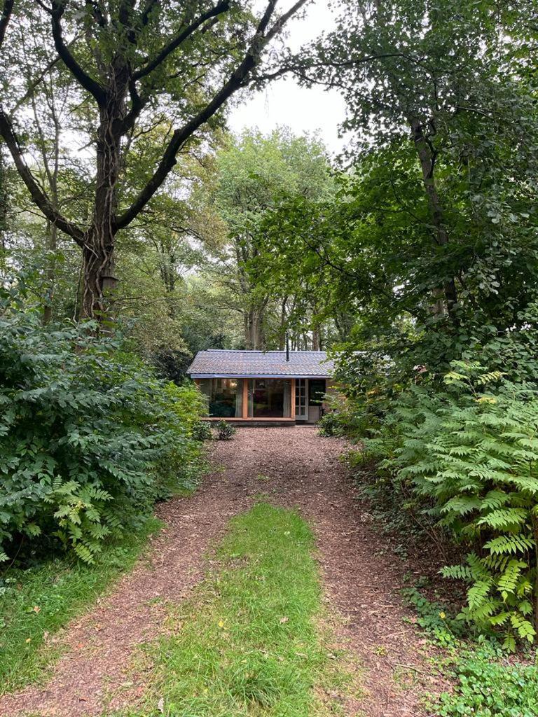 Huisje In Het Bos Zuidlaren Ngoại thất bức ảnh