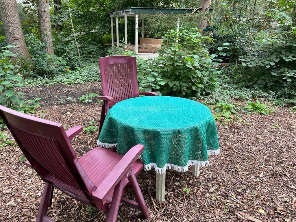Huisje In Het Bos Zuidlaren Ngoại thất bức ảnh